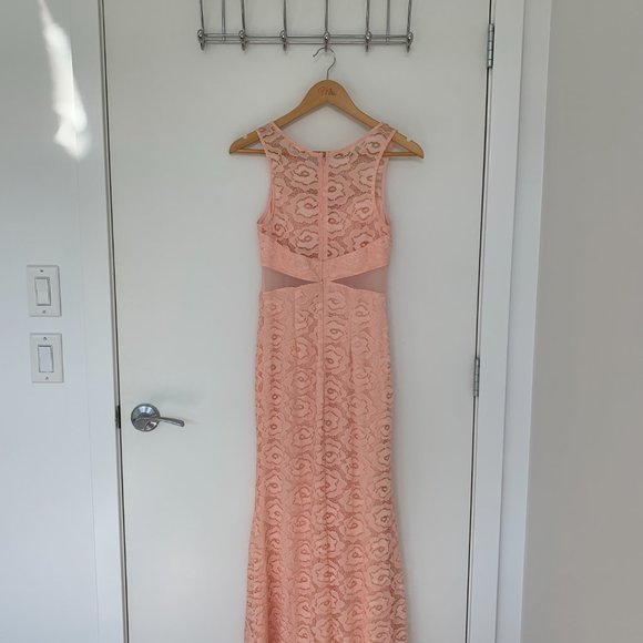 Maniju blush lace evening dress - Picture 3 of 9